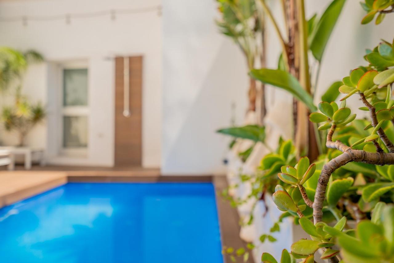 Vlvilla - Villa De Lujo En Valencia Con Piscina Privada Y Sala De Cine Burjassot Eksteriør billede
